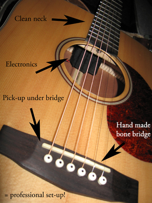 Guitar Set Up
