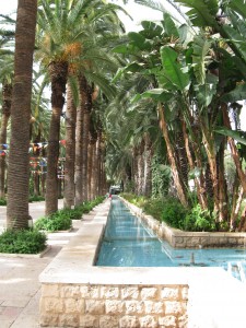 Gan HaMoshava Gan HaMoshava, the city park