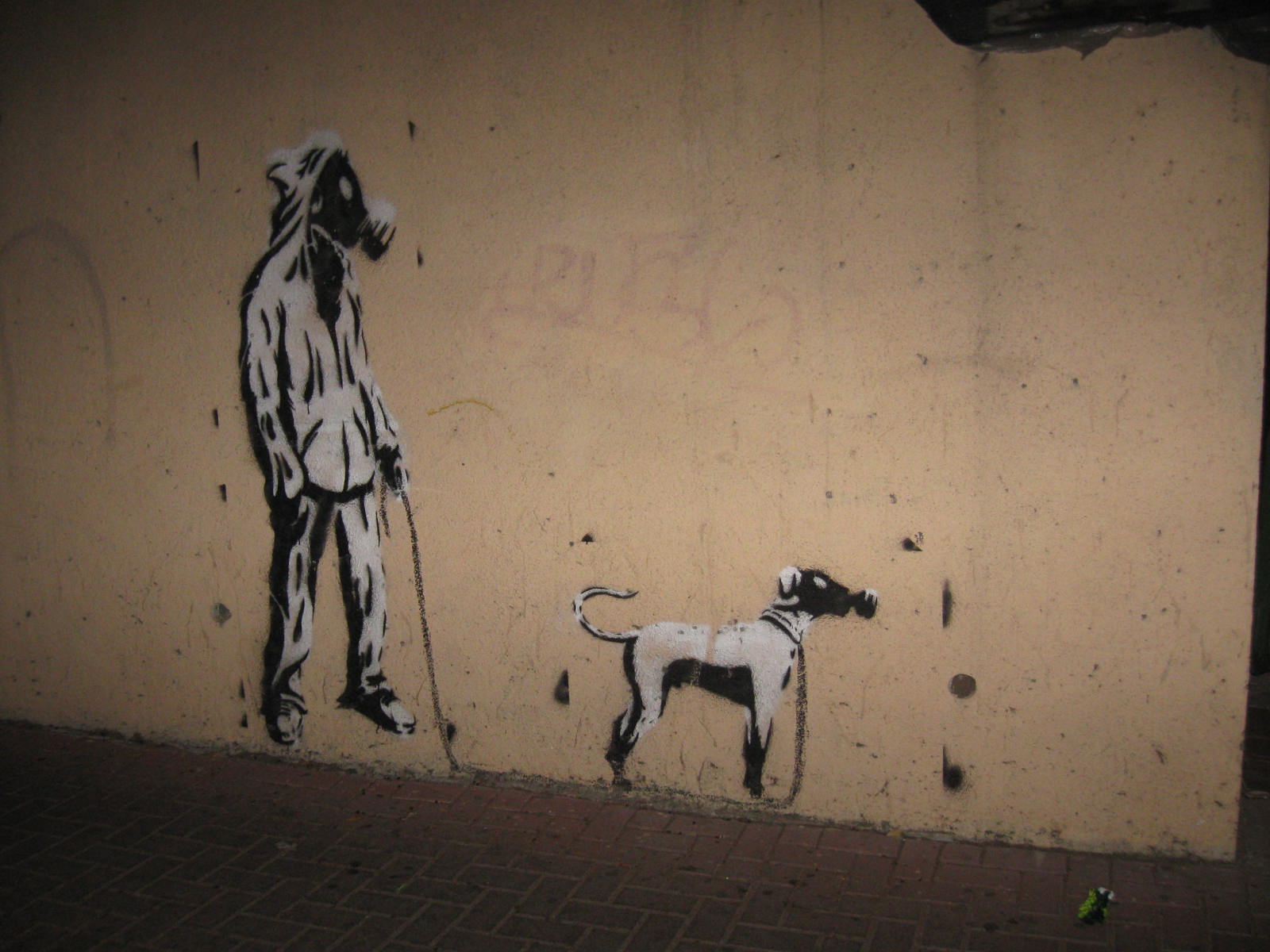 Israel Graffiti Masked Walking Dog Israel Graffiti Masked Walking Dog